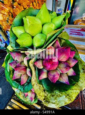 Fleurs de Lotus en vente au marché aux fleurs coloré de Pak Khlong Talat à Bangkok. Banque D'Images