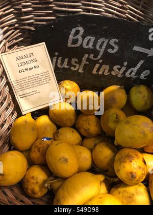 Citrons d'Amalfi mis en vente à Grocers shop, agrumes x limon Banque D'Images