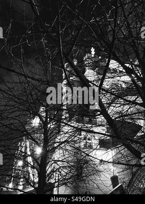 Rive sud de la Tamise regardant Tower Bridge à travers les arbres la nuit. Photographie en noir et blanc. Banque D'Images