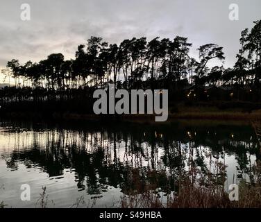 Grands arbres au crépuscule reflétant dans le lac Banque D'Images