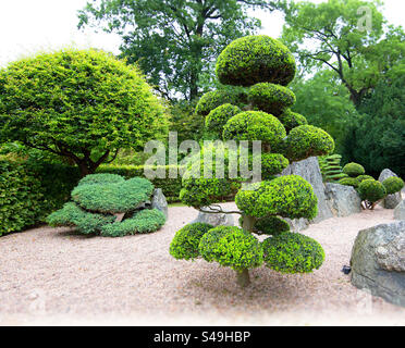 Jardin japonais à Wrocław, Pologne Banque D'Images