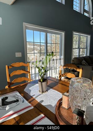 Plante ZZ à la lumière du soleil sur une table de campagne avec un plateau rustique décoré d'un vase en cristal et une vue sur les champs par la fenêtre. Banque D'Images