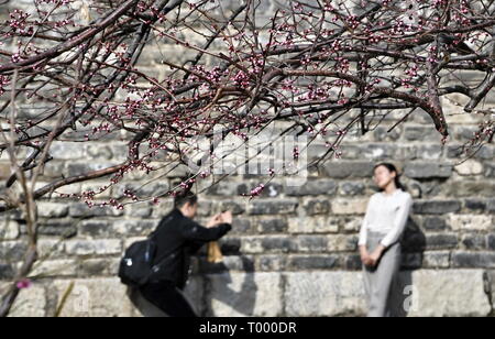 Beijing, Chine. Mar 16, 2019. Un touriste pose pour des photos à la dynastie des Ming (1368-1644) mur de la ville Parc des reliques à Beijing, capitale de Chine, le 16 mars 2019. Crédit : Li Xin/Xinhua/Alamy Live News Banque D'Images