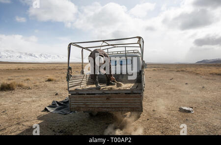 Bayan Ulgii, la Mongolie, le 29 septembre 2015 : l'homme de Mongolie nomade kazakhe nettoyage de l'arrière de la voiture en préparation de leur déménagement vers une nouvelle Yourte locat Banque D'Images