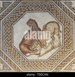 Editorial : NENNIG, Saarland, Allemagne, le 2 septembre 2018 - Un tigre tuant un âne représenté dans la villa romaine de Nennig Banque D'Images