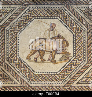 Editorial : NENNIG, Saarland, Allemagne, le 2 septembre 2018 - Un lion emmené par son gardien représenté dans la villa romaine de Nennig Banque D'Images