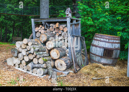 Couper et empilées pile de bois de chauffage dans la trémie de stockage à côté du fourreau en bois de chêne en arrière-cour résidentielle au début de l'été Banque D'Images