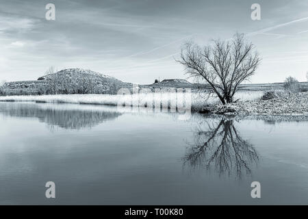 Image aux couleurs de paysage d'hiver avec Reflectring arbre sur un étang Banque D'Images