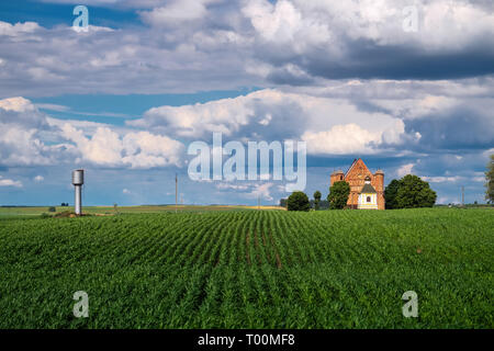 15e siècle ancienne église fortifiée de Saint Michel se trouve dans un paysage estival dans Synkovichi village, région de Grodno, Bélarus. Banque D'Images