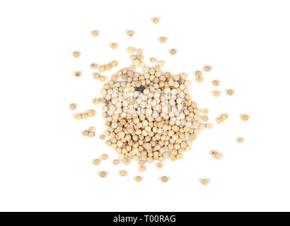 Poivre blanc pois éparpillés sur fond blanc Banque D'Images