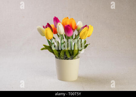 Tulipes dans un pot Banque D'Images