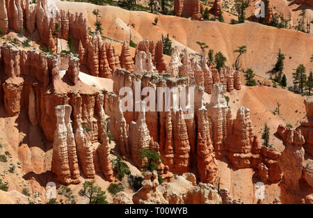 Pinnacles Hoodoo, Bryce Canyon, Utah, USA Banque D'Images