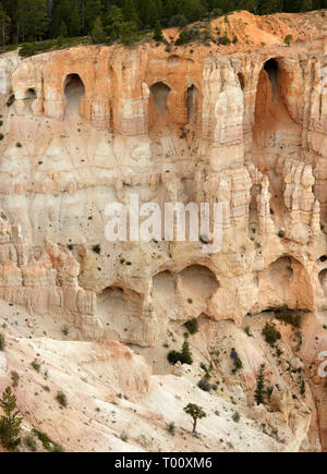 Mur de fenêtres, Bryce Canyon, Utah, USA Banque D'Images