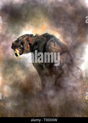 Shaggy un tigre à dents de chat avec un manteau schéma que d'un nuage leopard vous montre ses dents méchant en profil. Banque D'Images