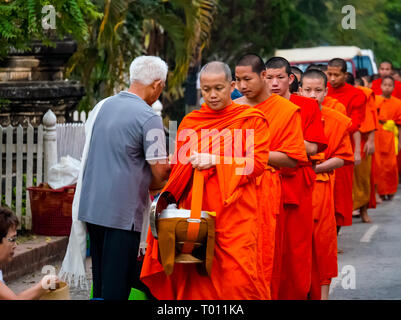 Les moines bouddhistes en robe orange file d'attente pour l"aumône matin cérémonie, Luang Prabang, Laos Banque D'Images