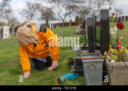 Les plantes matures dame les cendres d'un être cher animal de compagnie dans un trou creusé dans la tombe du propriétaire de l'animal par un jour de vent - Fox Covert, Red Lane, Appleton, Warrin Banque D'Images