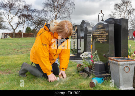 Les plantes matures dame les cendres d'un être cher animal de compagnie dans un trou creusé dans la tombe du propriétaire de l'animal par un jour de vent - Fox Covert, Red Lane, Appleton, Warrin Banque D'Images