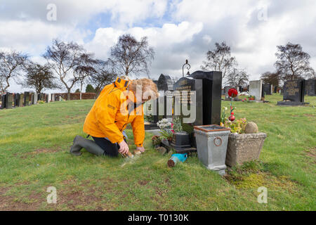 Les plantes matures dame les cendres d'un être cher animal de compagnie dans un trou creusé dans la tombe du propriétaire de l'animal par un jour de vent - Fox Covert, Red Lane, Appleton, Warrin Banque D'Images