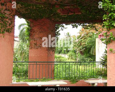 Les vieux piliers d'un centre commercial abandonné couvert avec plantes vertes et chenilles Banque D'Images