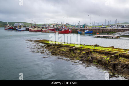 Les navires en le port de Dingle Banque D'Images