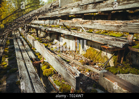 Ancien stade de football de la zone d'exclusion de Tchernobyl. Dans la zone radioactive ville Pripyat abandonnée - ville fantôme. L'histoire de la catastrophe de Tchernobyl Banque D'Images