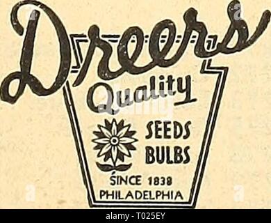 Dreer's garden réservez pour 1945 . dreersgardenbook henr QSW1945Année : 1945 Long-Spurred Long-Spurred 1230 ancolies du Dreer, Mixte. Un merveilleux mélange contenant de nombreuses combinaisons de couleurs riches. Bushy, free-plantes à fleurs 3 pieds de haut. Pkt. 25c ; grand pkt. 7Sc ; contre oz. 1,00 $ ; l,j'oz. 1,50 $. Divers choix Ofher Aquilegia alpina 1201. Un très efficace une variété bleue riche. Pour splendide rock gar- dens ; 1 ft. Pkt. 15c ; grand pkt. SOc. 1203 canadensis. La riche variété rouge et jaune. Fleurit très pro- fusely, lyi ft. Pkt. 20c ; grand pkt. 75c. 1213 coerulea (Rocky Mountain Col- umbine). A une charmante Banque D'Images