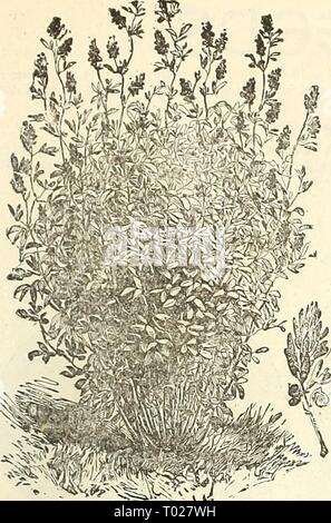 Dreer's garden : calendrier 1891 . dreersgardencale1891henr Année : 1891 POUR LA FERME. 47 Banque D'Images
