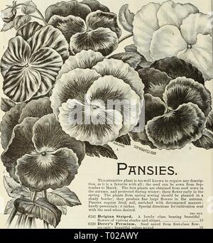 Dreer's garden calendrier . dreersgardencale1890henr Année : 1890 76 Graines nicotiana DREER EST FIABLE. Une très jolie floraison de grandes espèces de tabac. Une usine efficace pour groupes. par pkt. 6192 affinis. Blush rose 10 NOLANA. Plantes utiles pour suspendre des paniers, des fleurs en forme de cloche de roulement-. 6202 OSTROWSKIA 5 mixtes. (Giant Bellflower.) Un charmant hardj^ Campanula. Il forme un buisson de quatre à cinq pieds de haut, qui est couvert avec de grandes fleurs en forme de cloche d'un riche bleu foncé avec du lilas. par pkt. 6210 Magiiifica 25 OXALIS. Belles petites plantes, convient pour^ la serre, rock-travail, bask Banque D'Images