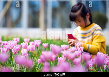 Nanjing, Nanjing, Chine. Mar 17, 2019. Nanjing, Chine-Tulip flowers blossom à Nanjing, à l'est ChinaÃ¢â€ Province de Jiangsu, attirant de nombreux touristes. Crédit : SIPA Asie/ZUMA/Alamy Fil Live News Banque D'Images