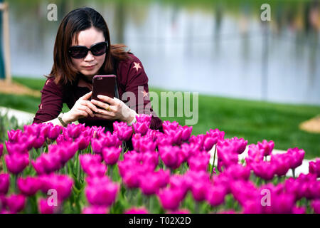 Nanjing, Nanjing, Chine. Mar 17, 2019. Nanjing, Chine-Tulip flowers blossom à Nanjing, à l'est ChinaÃ¢â€ Province de Jiangsu, attirant de nombreux touristes. Crédit : SIPA Asie/ZUMA/Alamy Fil Live News Banque D'Images