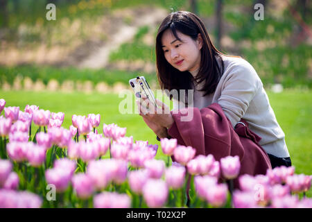 Nanjing, Nanjing, Chine. Mar 17, 2019. Nanjing, Chine-Tulip flowers blossom à Nanjing, à l'est ChinaÃ¢â€ Province de Jiangsu, attirant de nombreux touristes. Crédit : SIPA Asie/ZUMA/Alamy Fil Live News Banque D'Images