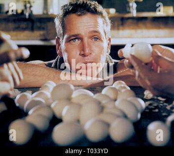 PAUL NEWMAN, Cool Hand Luke, 1967 Banque D'Images