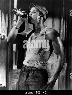 MARLON BRANDO, A Streetcar Named Desire, 1951 Banque D'Images