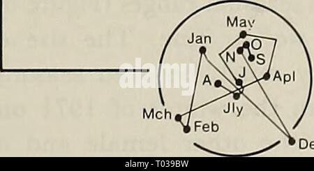 L'écologie des folivores arboricole Banque D'Images