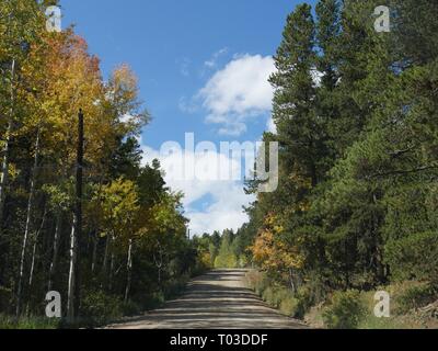 Scenic road aux parcs d'État du Golden Gate Canyon, Colorado La Faune Parcs &par un beau jour en automne Banque D'Images