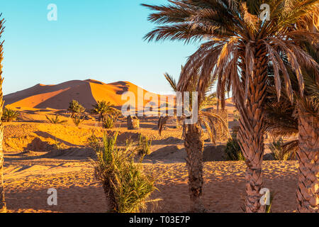 Haut formé naturellement ou grand dunes de sable sont un phénomène dans l'Erg Cheebi dans la petite ville du Sahara de Merzouga, Maroc, Afrique du Nord Banque D'Images