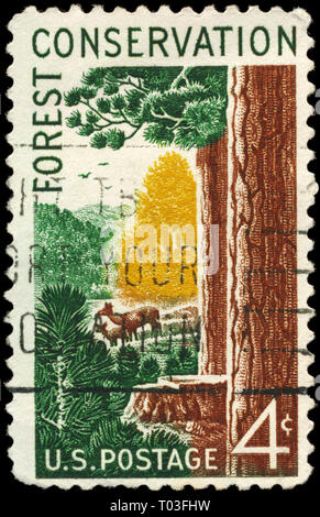 USA - circa 1958 : timbre imprimé aux États-Unis montre Woods et les animaux, la conservation des forêts Question, vers 1958 Banque D'Images
