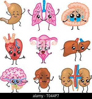 Mignon d'organes. Heureux homme, ensemble de personnages souriants. Les axes des vecteurs, cartoon kawaii d'icônes. Coeur en santé, de l'estomac, du foie, de la vessie, l'utérus, des poumons d'organes Illustration de Vecteur