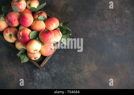 Pommes rouges, dans un coffret en bois. Pommes rouges organiques avec des feuilles sur fond rustique, copiez l'espace. Banque D'Images