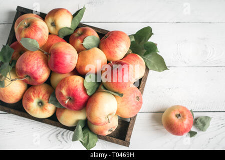 Pommes rouges, dans un coffret en bois. Pommes rouges organiques avec des feuilles sur fond de bois blanc, vue du dessus, copiez l'espace. Banque D'Images