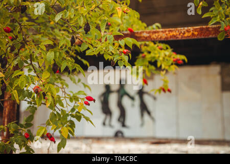 Graffiti dans la zone d'exclusion de Tchernobyl. Dans la zone radioactive ville Pripyat abandonnée - ville fantôme. L'histoire de la catastrophe de Tchernobyl. Lieu perdu en Ukraine Banque D'Images