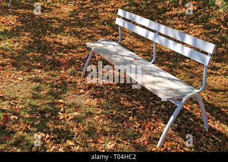 Couleur blanc banc en bois sous les arbres plein de feuilles tombées, l'île de Pâques du Chili Banque D'Images