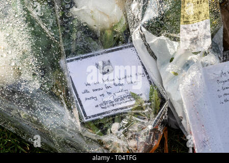 Après la mosquée de Nouvelle-Zélande à Christchurch par Brenton terroristes Tarrant personnes au Royaume-Uni ont été portant des fleurs au Hyde Park Corner Banque D'Images