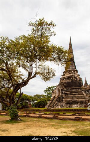 Wat Phra Sri Sanphet, vieux temple bouddhiste, Ayutthaya, UNESCO World Heritage Site, Thaïlande, Asie du Sud, Asie Banque D'Images