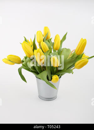 Bouquet de tulipes jaunes dans la benne isolated on white Banque D'Images