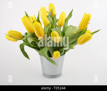 Bouquet de tulipes jaunes dans la benne isolated on white Banque D'Images