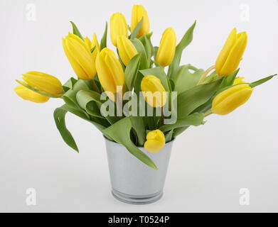 Bouquet de tulipes jaunes dans la benne isolated on white Banque D'Images