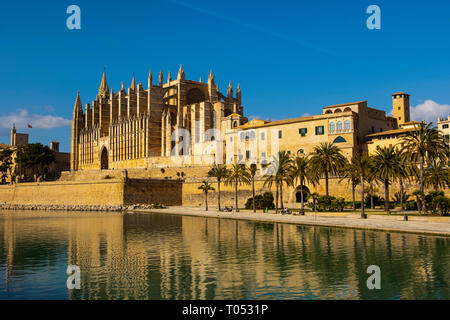 Cathédrale La Seu, Parc del Mar et Royal Palais de la Almudaina, Palma de Majorque. Majorque, Baléares, Espagne Europe Banque D'Images