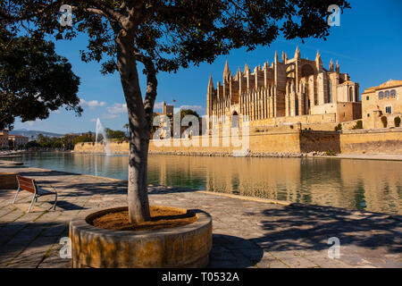 Cathédrale La Seu, Parc del Mar et Royal Palais de la Almudaina, Palma de Majorque. Majorque, Baléares, Espagne Europe Banque D'Images