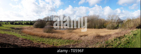 Vue panoramique avec étang dans la vraie campagne du Cheshire près de Sandbach UK Banque D'Images